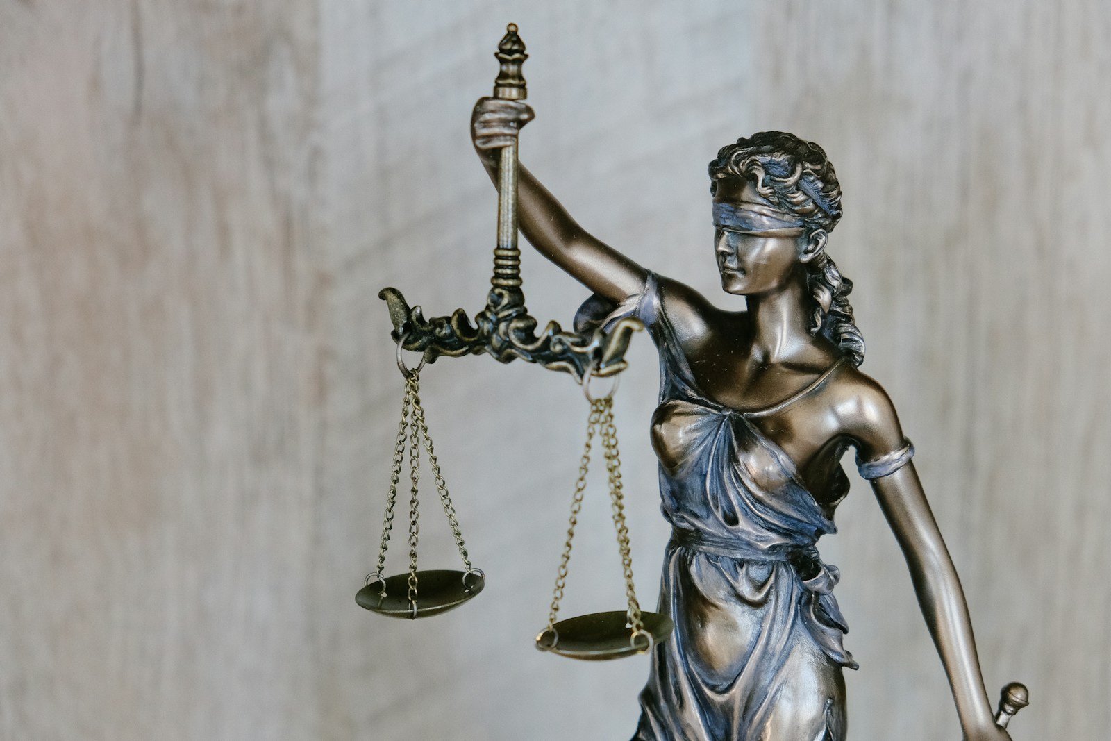 Law & Professional Services